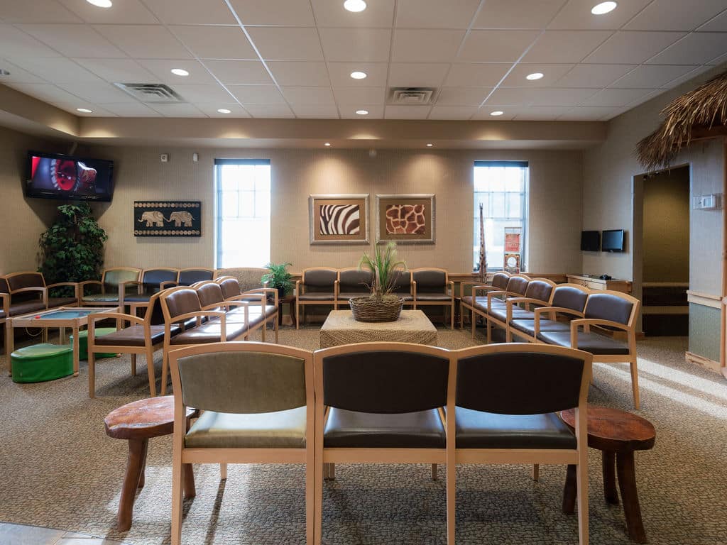 A waiting area with chairs, a large TV, and wall art featuring animal themes. Windows let in natural light; decor is comfortable.